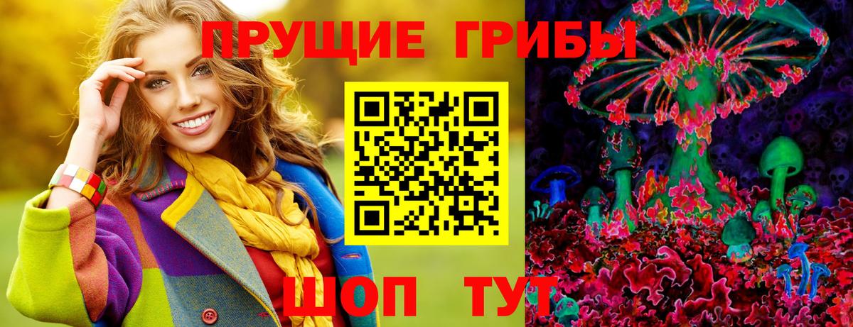 Псилоцибиновые грибы Psilocybe Иркутск