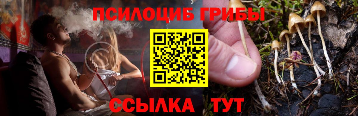 Иркутск  купить наркотик  Вход с VPN  Псилоцибиновые грибы Psilocybe  Псилоцибиновые грибы мухоморы 